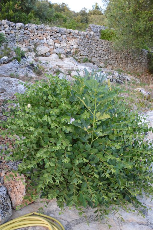 Vivere Ostuni Exterior foto